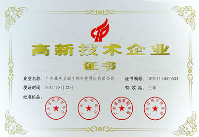 高新技术企业认证证书
